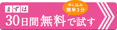 30日間無料で試す